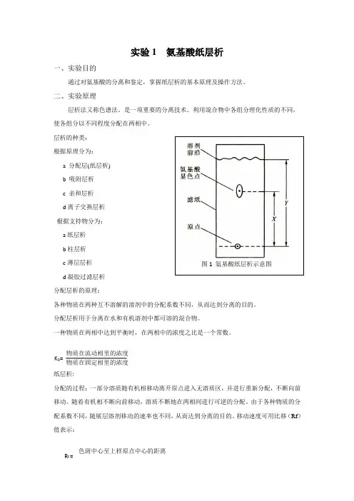 生化实验指导
