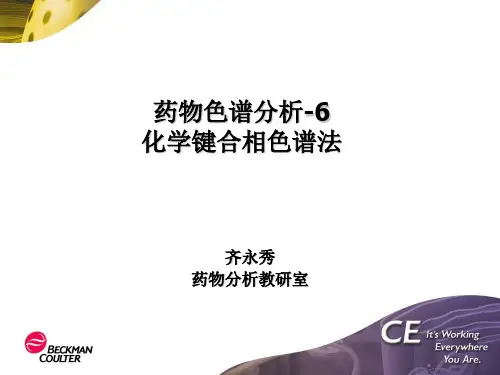 药物色谱分析