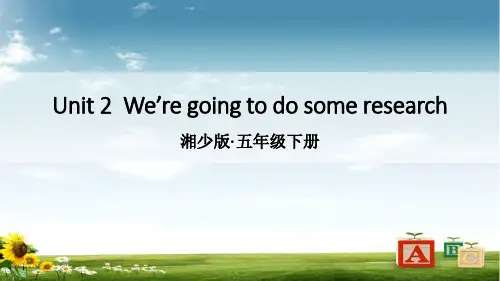湘少版五年级英语下册Unit 2  We’re going to do some research