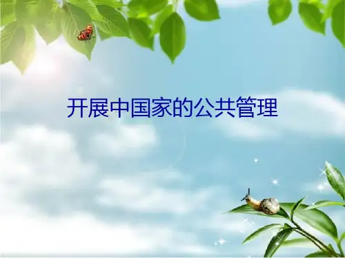 发展中国家的公共管理幻灯片PPT