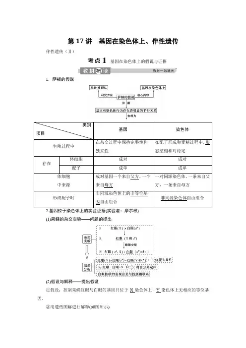 2020年高考生物一轮复习讲义：第17讲基因在染色体上、伴性遗传