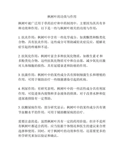 枫树叶的功效与作用