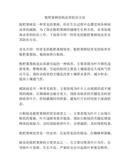 枇杷果树的病虫害防治方法