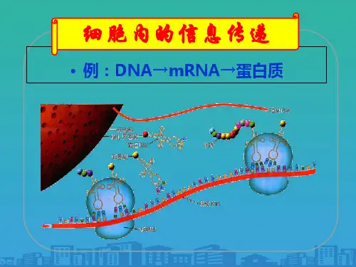 人教版高中生物必修三第5章第4节 生态系统的信息传递  课件(共35张PPT)