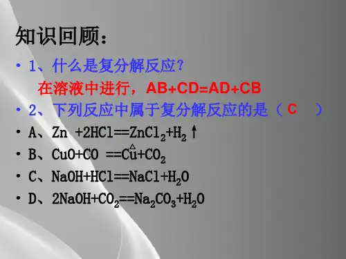 人教版初中化学九下11.1-生活中常见的盐--复分解反应发生的条件-课件