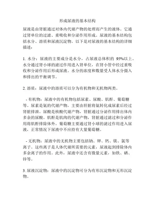 形成尿液的基本结构