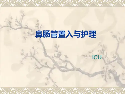 鼻肠管