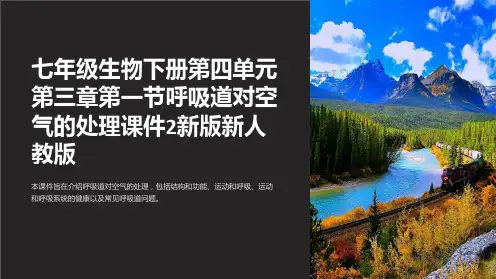 七年级生物下册第四单元第三章第一节呼吸道对空气的处理课件2新版新人教版