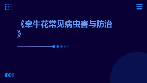 牵牛花常见病虫害与防治
