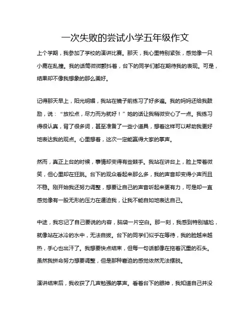 一次失败的尝试小学五年级作文