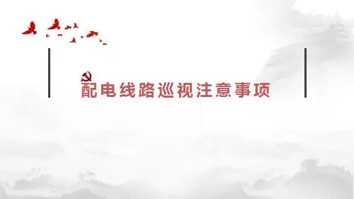 配电线路巡视注意事项