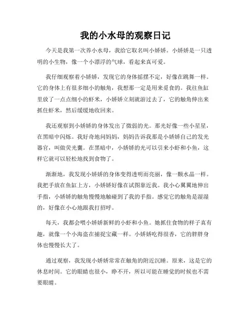 小学三年级作文我的小水母的观察日记
