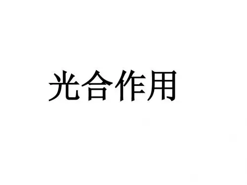 光合作用