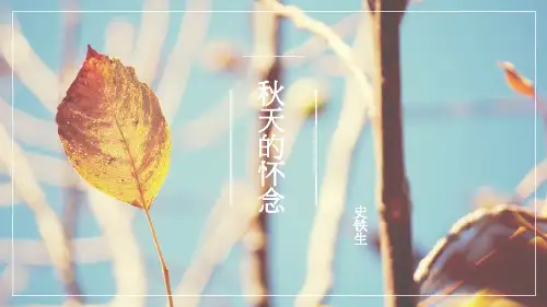 统编版语文七年级上册(2024)第5课《秋天的怀念》课件(共29张PPT)