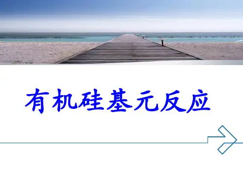 有机硅化学反应PPT课件