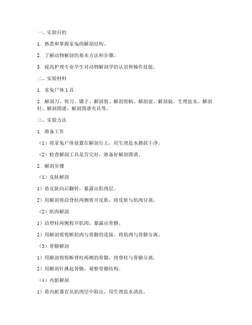 护士解剖家兔实验报告
