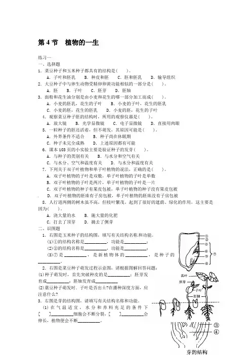 浙教版七年级科学下册同步测试(含答案)：1.4植物的一生