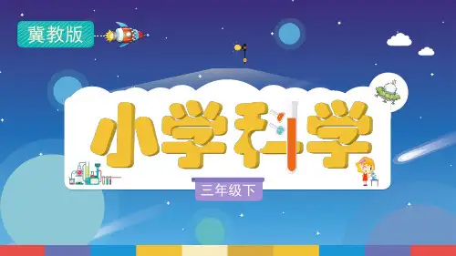 冀人版三年级下册仙人掌与莲(课件6张)
