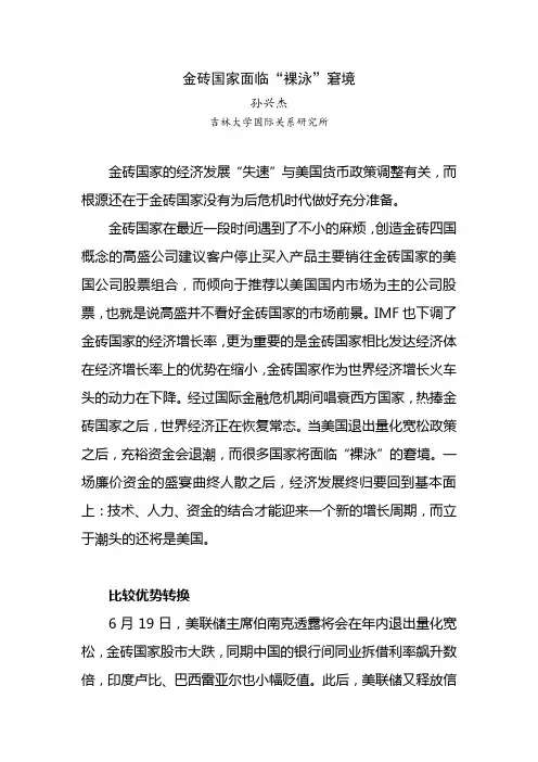 金砖国家面临“裸泳”窘境