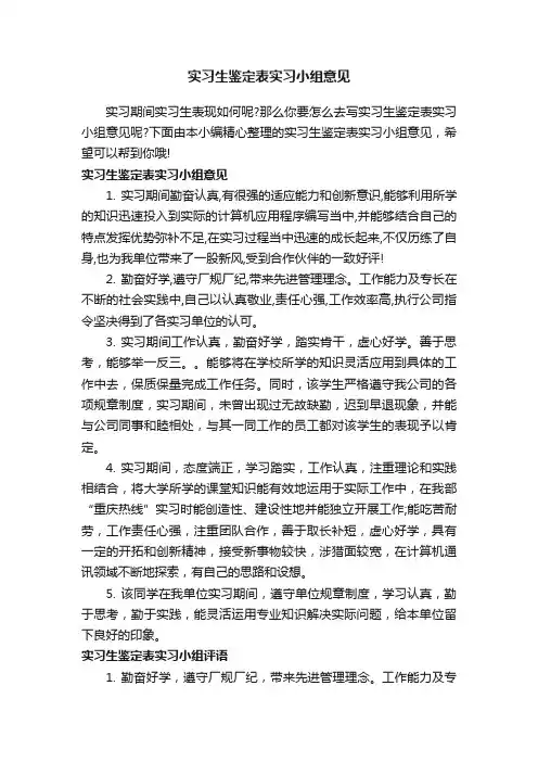 实习生鉴定表实习小组意见