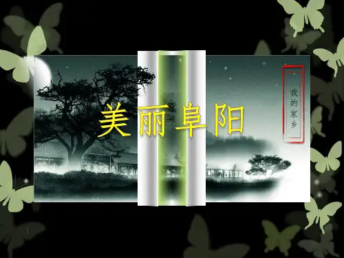 阜阳家乡介绍PPT课件