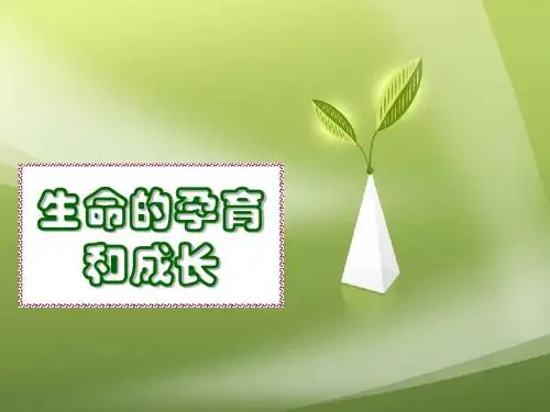 生命的孕育和成长