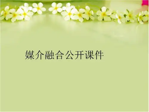 【精品】媒介融合公开课件教学课件