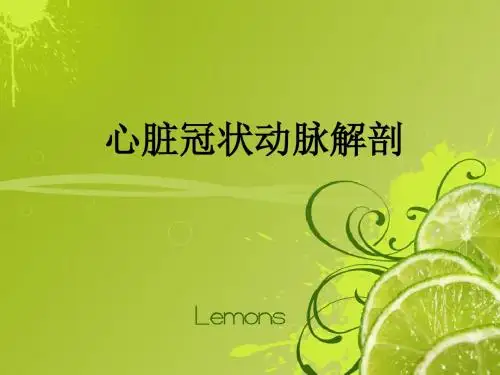 心脏冠状动脉解剖PPT课件