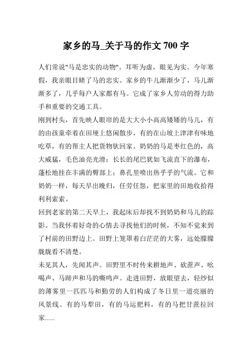 家乡的马_关于马的作文700字