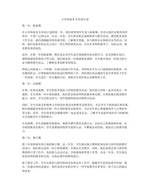小学师徒3年培训计划