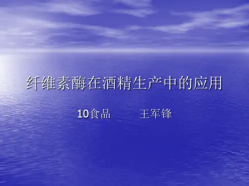 纤维素酶在酒精生产中应用