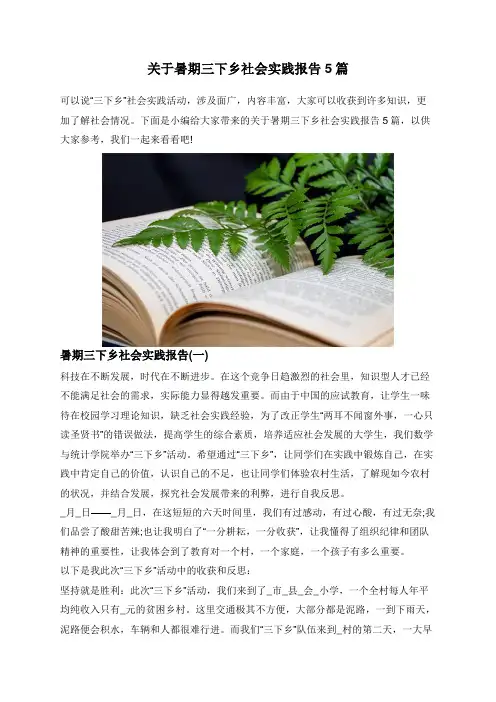 关于暑期三下乡社会实践报告5篇 2
