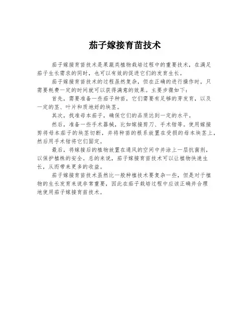 茄子嫁接育苗技术 3