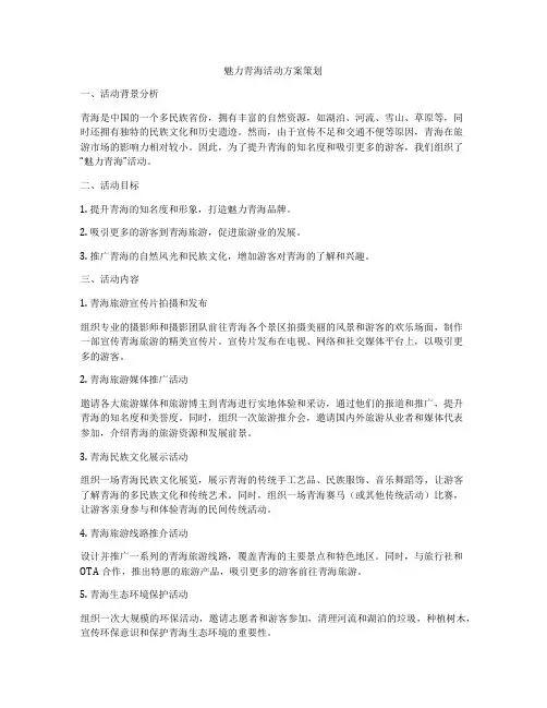 魅力青海活动方案策划