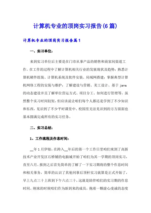 计算机专业的顶岗实习报告(6篇)