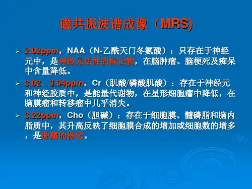MRS磁共振波普成像
