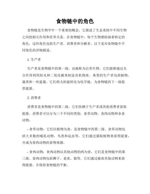 食物链中的角色