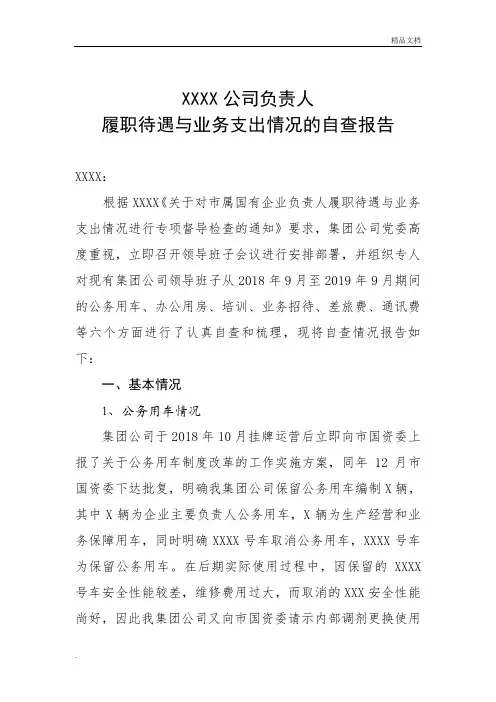 企业负责人履职待遇、业务支出自查报告