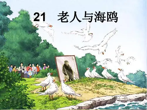 新人教版(部编)二年级语文下册《21  老人与海鸥》示范课课件_13