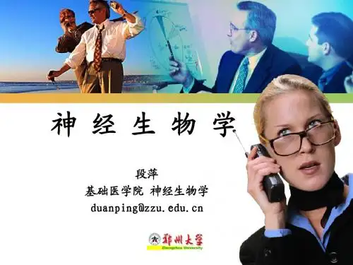 神经生物学第一章绪论