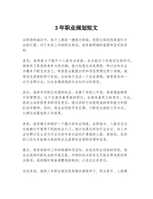 3年职业规划短文