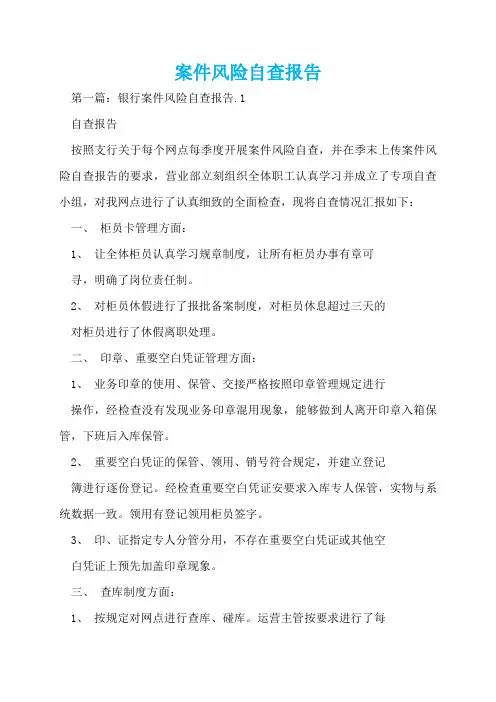 案件风险自查报告  