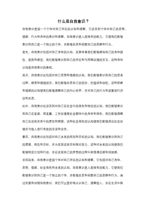 什么是自我意识？