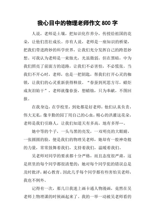 我心目中的物理老师作文800字