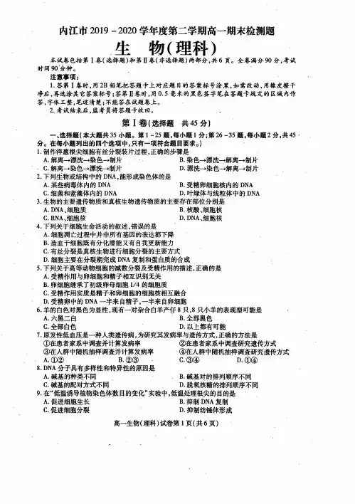 2019-2020学年四川省内江市高一下学期期末检测生物(理)试题 PDF版
