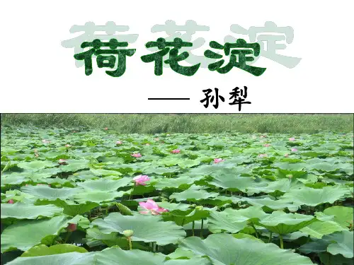 《荷花淀》分析