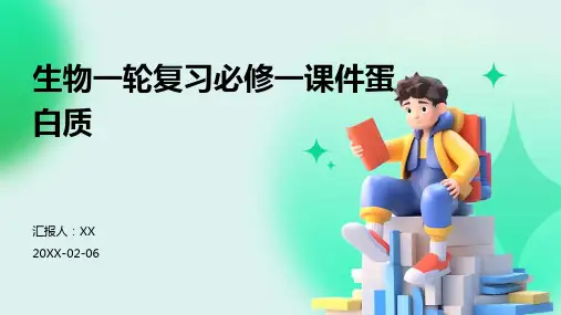 生物一轮复习必修一课件蛋白质