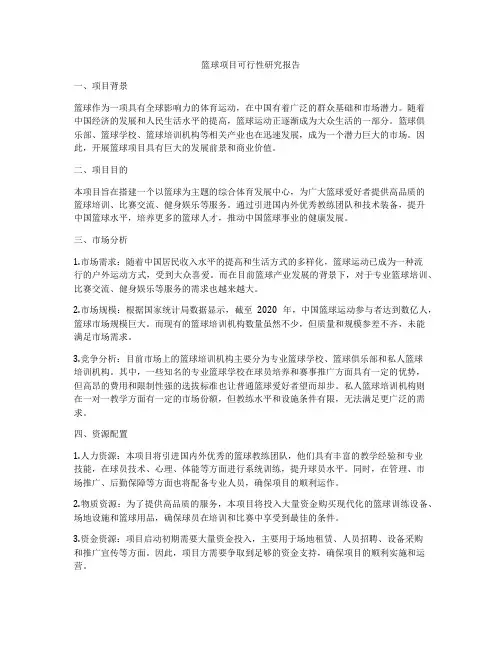 篮球项目可行性研究报告