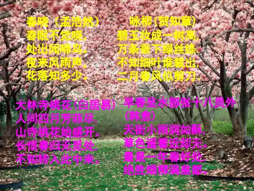 11《郑和远航》ppt课件(新版)