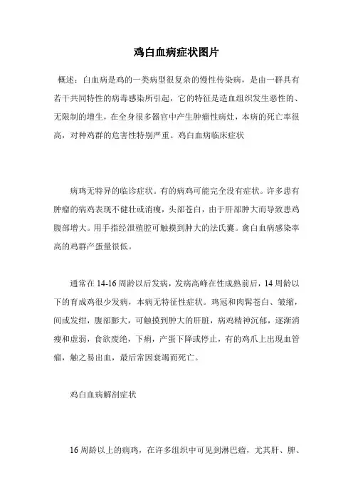 鸡白血病症状图片.doc